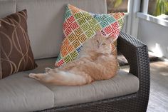 an orange cat laying on top of a couch next to a pillow and some pillows