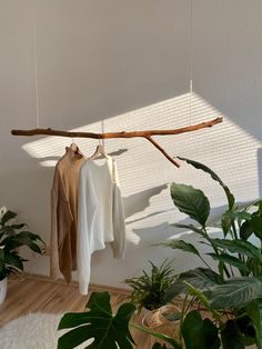 Boho clothes rack made with a tree branch and twine hanging from the ceiling Unique Store Design, Boutique Photoshoot Ideas, Photography Studio Decor, Clothing Store Interior, Store Design Boutique, Clothes Hanging, Boutique Decor