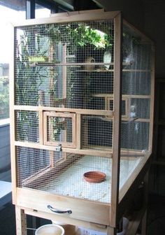 a large bird cage sitting on top of a wooden table