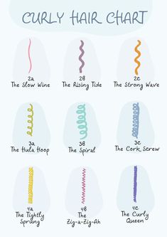 Curly Hair Number Chart, Curly Hair Chart Curl Pattern, Hair Pattern Chart Natural, Hair Chart Type, Hair Patterns Chart, Curly Hair Pattern Chart, Hair Chart Texture, Curly Types Charts, Different Hair Types Chart