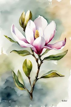 Magnolia Flower Watercolor, Watercolor Art Paintings Beautiful, Watercolor Art Plants, Watercolour Magnolia, Magnolia Watercolor Painting, Flower Watercolor Paintings, Watercolor Art Nature, Watercolor Art Flowers, Watercolour Plants