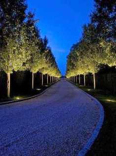 an empty road surrounded by trees at night