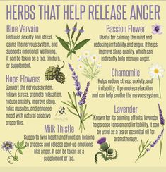 Blood Purifying Herbs, Herbs For Anger, Herbs For Asthma, Herbalism For Beginners, Medicinal Herbs Remedies, Release Anger, Herbal Education, Herbal Remedies Recipes, Medicinal Herbs Garden