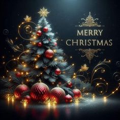 Heartfelt Happy Christmas Wishes For Family And Friends Merry Christmas Images Beautiful, Sretan Božić, Birthday Wishes Flowers, Christmas Memes, Christmas Blessings, Merry Christmas Wishes