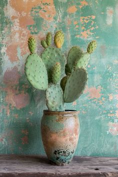 a cactus in a pot sitting on a wooden table next to a green painted wall