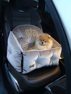 a small dog sitting in a car seat with a crown on it's back