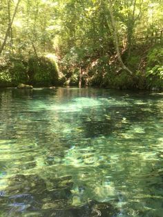 the water is very clear and blue in this area with green trees on both sides