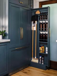 an open cabinet in a kitchen filled with cleaning supplies