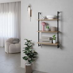 a living room filled with furniture and a potted plant on top of a shelf