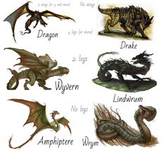 an image of different types of dragon's and their names in english or spanish