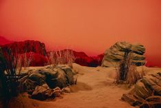 a desert scene with rocks and plants in the foreground, an orange sky above