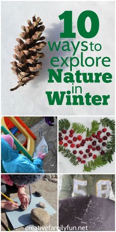 the words 10 ways to explore nature in winter are shown above pictures of pine cones and other things