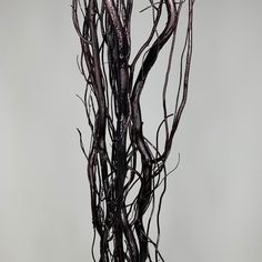 there is a tall vase with branches in it