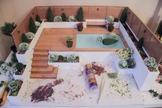 an aerial view of a garden with various plants and flowers on the ground, including succulents