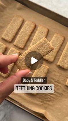 baby and toddler teeth cookies on a baking sheet with text overlay that reads, baby & toddler teeth cookies