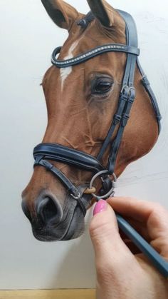 a drawing of a horse's head is shown with a pencil in its hand