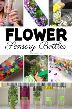 flowers are in vases, and there is a text overlay that says flower sensory bottles