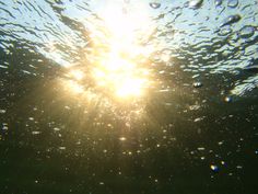 the sun shines brightly through water bubbles