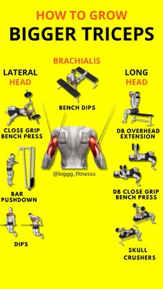 how to grow bigger triceps info graphic on yellow background with instructions for different types of triceps