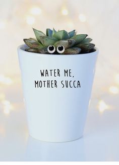 a plant with googly eyes sitting in a white cup that says water me mother succa