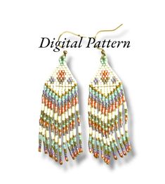 a pair of earrings with beaded fringes and beads hanging from the end of each ear