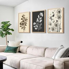 a living room with couches and paintings on the wall above them, along with a potted plant