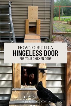 how to build a hingeless door for your chicken coop in the back yard