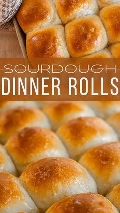 a close up of bread rolls in a pan with the words sourdough dinner rolls