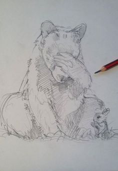 a pencil drawing of a bear and its cub