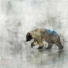 a polar bear walking across a wet ground in the foggy day with water droplets on it's surface