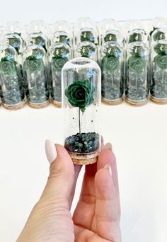 a hand holding a glass jar with a green rose in it