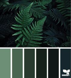 the color scheme is dark green and has lots of leaves on it, like ferns