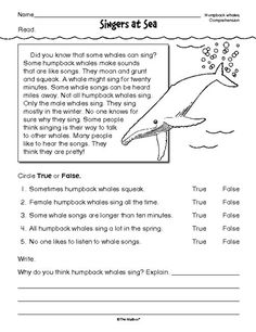 the dolphins song worksheet