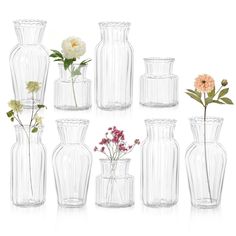 six clear vases with flowers in them on a white background, one is empty