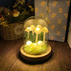 mushrooms in a glass dome with moss and lights