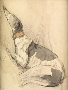 a drawing of a dog laying on top of a bed