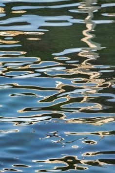 the water is reflecting light on it's surface