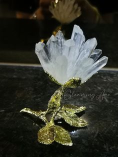 📞 Please leave your phone number (for delivery) when you purchase to help us get your order to you faster. High Vibrations Clear Quartz Crystals align you with your highest self being and achieve your greatest potential in life. This Clear Quartz Crystal Flower is perfect for anyone looking to set new future goals and empower one's self consciousness. Net Weight:About:110g+ Size:About 70*65*80mm The pictures often look larger than the real product, plz refer to the product size. PRODUCT DETAILS Flower Healing, High Vibrations, Crystal Flowers, Future Goals, Stone Crystal, Crystal Flower, Clear Quartz Crystal, Healing Stone, Crystal Gifts