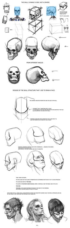 an image of the head and shoulders of a person with different facial expressions on it