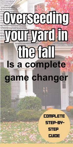 House surrounded by a yard dotted with autumn leaves, underscoring the fall practice of overseeding for a lush lawn. Grass Maintenance Lawn Care, Fall Lawn Care Tips, Fall Fertilizer For Lawn, How To Fix Lawn, Fall Lawn Care Schedule, Fall Yard Maintenance, Reseeding Lawn Fall, Fall Grass Maintenance