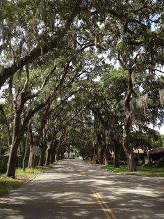 a street lined with trees covered in spanish moss