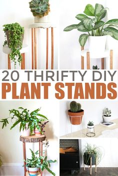 there are many different types of plants in this collage with the words 20 thrift diy plant stands