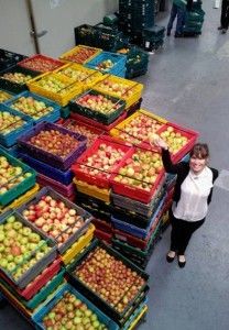 a woman is standing in front of many boxes of apples and other fruit on display