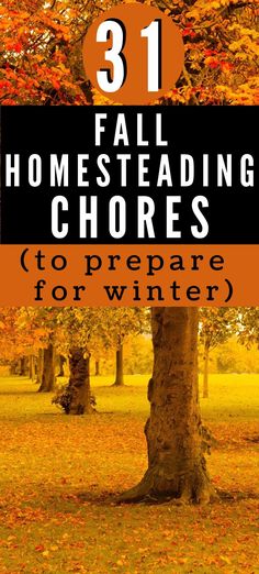 a tree with the words 31 fall homestading chores to prepare for winter on it