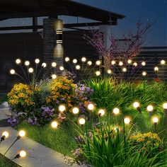 the lights are glowing in the garden at night