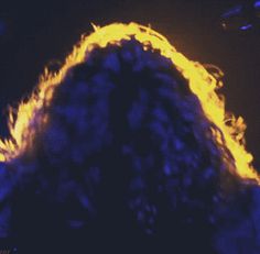 the back of a woman's head is shown with yellow and blue lights in the background