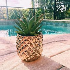 a pineapple shaped potted plant next to a swimming pool