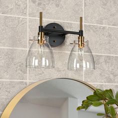 a bathroom light with two clear glass shades on the wall next to a potted plant