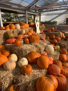 pumpkins and hay bales in a greenhouse