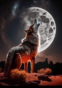 a wolf standing on top of a desert under a full moon